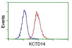 KCTD14 Mouse anti-Human, Clone: OTI1D11, lyophilized, TrueMAB 100 &mu;g;