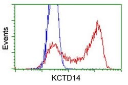 KCTD14 Monoclonal Antibody (OTI3F5), TrueMAB , OriGene 100 &mu;L; Unconjugated:Antibodies,