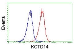 KCTD14 Monoclonal Antibody (OTI3F5), TrueMAB , OriGene 100 &mu;L; Unconjugated:Antibodies,