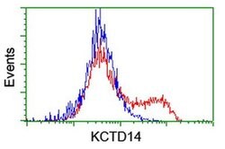 KCTD14 Monoclonal Antibody (OTI1A11), TrueMAB , OriGene 100 &mu;L; Unconjugated:Antibodies,