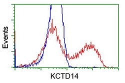 KCTD14 Monoclonal Antibody (OTI2A6), TrueMAB , OriGene:Antibodies:Primary