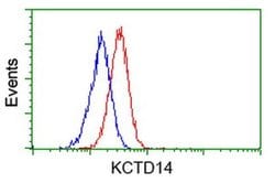 KCTD14 Monoclonal Antibody (OTI2A6), TrueMAB , OriGene 100 &mu;L; Unconjugated:Antibodies,