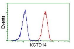 KCTD14 Monoclonal Antibody (OTI2B9), TrueMAB , OriGene 100 &mu;L; Unconjugated:Antibodies,