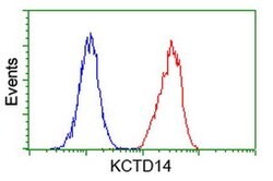 KCTD14 Monoclonal Antibody (OTI2B9), TrueMAB , OriGene 100 &mu;L; Unconjugated:Antibodies,