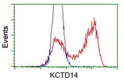 KCTD14 Monoclonal Antibody (OTI3C7), TrueMAB , OriGene 30 &mu;L; Unconjugated:Antibodies,