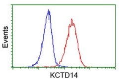 KCTD14 Monoclonal Antibody (OTI3C7), TrueMAB , OriGene:Antibodies:Primary