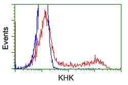 KHK Mouse anti-Human, Clone: OTI1F1, lyophilized, TrueMAB 100 &mu;g; Unconjugated:Antibodies,