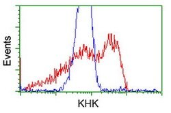 KHK Mouse anti-Human, Clone: OTI3D1, lyophilized, TrueMAB 100 &mu;g; Unconjugated:Antibodies,