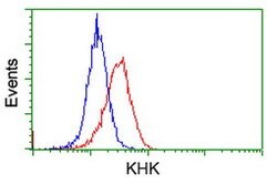 KHK Mouse anti-Human, Clone: OTI3D1, lyophilized, TrueMAB 100 &mu;g; Unconjugated:Antibodies,