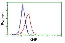 KHK Mouse anti-Human, Clone: OTI3D1, liquid, TrueMAB 100 &mu;L; Unconjugated:Antibodies,