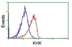 KHK Mouse anti-Human, Clone: OTI3D1, liquid, TrueMAB 100 &mu;L; Unconjugated:Antibodies,