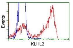 KLHL2 Mouse anti-Canine, Human, Clone: OTI1G7, lyophilized, TrueMAB 100