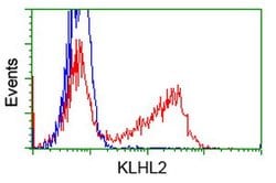 KLHL2 Mouse anti-Human, Clone: OTI10C12, lyophilized, TrueMAB 100 &mu;g;