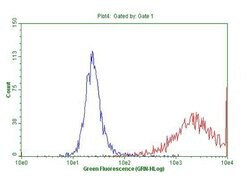 KRT18 Mouse anti-Human, Clone: OTI10H8, lyophilized, TrueMAB 100 &mu;g;