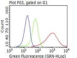 KRT7 Monoclonal Antibody (OTI2E11), TrueMAB , OriGene:Antibodies:Primary