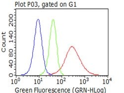KRT7 Monoclonal Antibody (OTI2E11), TrueMAB , OriGene 100 &mu;L; Unconjugated:Antibodies,