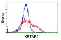 KRTAP2 Mouse anti-Human, Clone: OTI3B4, TrueMAB , Origene 30 &mu;L; Unconjugated:Antibodies,