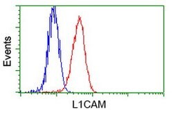 L1CAM Mouse anti-Human, Clone: OTI2C7, lyophilized, TrueMAB 100 &mu;g;