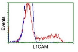 L1CAM Mouse anti-Human, Clone: OTI2H5, liquid, TrueMAB 100 &mu;L; Unconjugated:Antibodies,