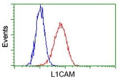 L1CAM Mouse anti-Human, Clone: OTI4F4, lyophilized, TrueMAB 100 &mu;g;