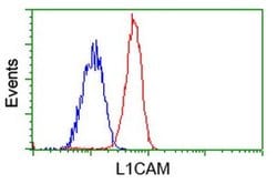 L1CAM Monoclonal Antibody (OTI1A8), TrueMAB , OriGene 30 &mu;L; Unconjugated:Antibodies,
