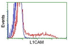 L1CAM Monoclonal Antibody (OTI2A5), TrueMAB , OriGene 30 &mu;L; Unconjugated:Antibodies,