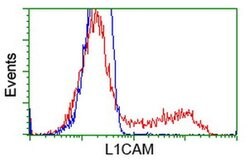 L1CAM Monoclonal Antibody (OTI1G4), TrueMAB , OriGene 100 &mu;L; Unconjugated:Antibodies,