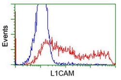 L1CAM Monoclonal Antibody (OTI1D12), TrueMAB , OriGene 30 &mu;L; Unconjugated:Antibodies,