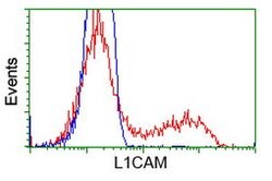 L1CAM Mouse anti-Canine, Human, Clone: OTI2G9, lyophilized, TrueMAB 100