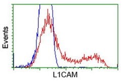 L1CAM Monoclonal Antibody (OTI2H4), TrueMAB , OriGene 30 &mu;L; Unconjugated:Antibodies,