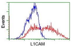 L1CAM Monoclonal Antibody (OTI2H6), TrueMAB , OriGene 30 &mu;L; Unconjugated:Antibodies,