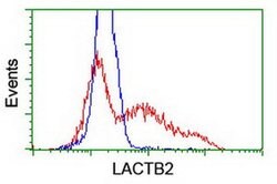 LACTB2 Monoclonal Antibody (OTI3A5), TrueMAB , OriGene 100 &mu;L | Buy Online | Origene Technologies | Fisher Scientific