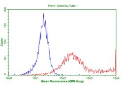 LAG3 Mouse anti-Human, Clone: OTI8F6, liquid, TrueMAB 100 &mu;L | Buy Online | Origene Technologies | Fisher Scientific