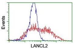 LANCL2 Monoclonal Antibody (OTI2A11), TrueMAB , OriGene 100 &mu;L; Unconjugated:Antibodies,