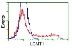 LCMT1 Mouse anti-Human, Clone: OTI1E7, lyophilized, TrueMAB 100 &mu;g;