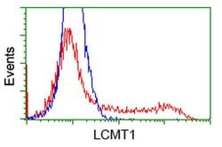 LCMT1 Monoclonal Antibody (OTI1E7), TrueMAB , OriGene 100 &mu;L; Unconjugated:Antibodies,