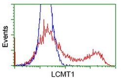 LCMT1 Monoclonal Antibody (OTI3F4), TrueMAB , OriGene 30 &mu;L; Unconjugated:Antibodies,