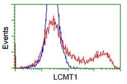 LCMT1 Monoclonal Antibody (OTI1E8), TrueMAB , OriGene 100 &mu;L; Unconjugated:Antibodies,