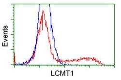 LCMT1 Mouse anti-Human, Clone: OTI 1G5, lyophilized, TrueMAB 100 &mu;g;