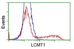 LCMT1 Mouse anti-Human, Clone: OTI 1G5, liquid, TrueMAB 100 &mu;L; Unconjugated:Antibodies,