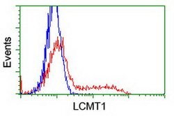 LCMT1 Mouse anti-Human, Clone: OTI4A5, lyophilized, TrueMAB 100 &mu;g;