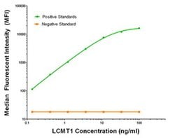 LCMT1 Mouse anti-Human, Clone: OTI2F8, liquid, TrueMAB 100 &mu;g; Unconjugated:Antibodies,