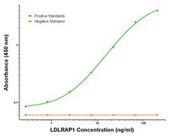 LDLRAP1 Mouse anti-Human, Clone: OTI2B2, liquid, TrueMAB 100 &mu;g; Unconjugated:Antibodies,