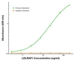 LDLRAP1 Mouse anti-Human, Clone: OTI2B2, liquid, TrueMAB 100 &mu;g; Unconjugated:Antibodies,