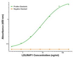 LDLRAP1 Mouse anti-Human, Clone: OTI2B2, liquid, TrueMAB 100 &mu;g; Unconjugated:Antibodies,