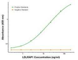 LDLRAP1 Mouse anti-Human, Clone: OTI4B10, liquid, TrueMAB 100 &mu;g; Unconjugated:Antibodies,