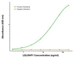 LDLRAP1 Mouse anti-Human, Clone: OTI7E11, liquid, TrueMAB 100 &mu;g; Unconjugated:Antibodies,