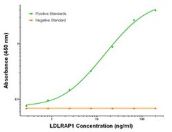 LDLRAP1 Mouse anti-Human, Clone: OTI7E11, liquid, TrueMAB 100 &mu;g; Unconjugated:Antibodies,