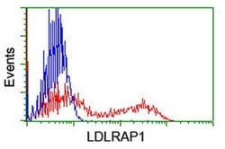 LDLRAP1 Monoclonal Antibody (OTI1F3), TrueMAB , OriGene 30 &mu;L; Unconjugated:Antibodies,