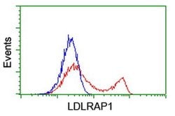 LDLRAP1 Monoclonal Antibody (OTI2B2), TrueMAB , OriGene 30 &mu;L; Unconjugated:Antibodies,